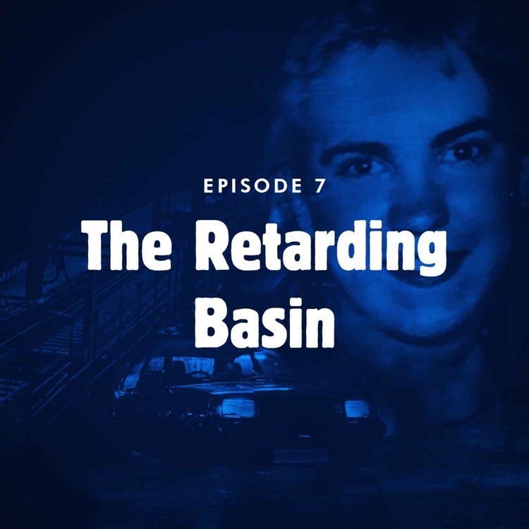 cover art for Episode 7: The retarding basin