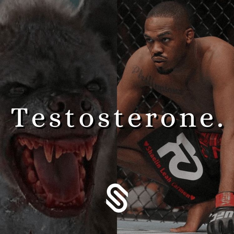 cover art for Testosterone.