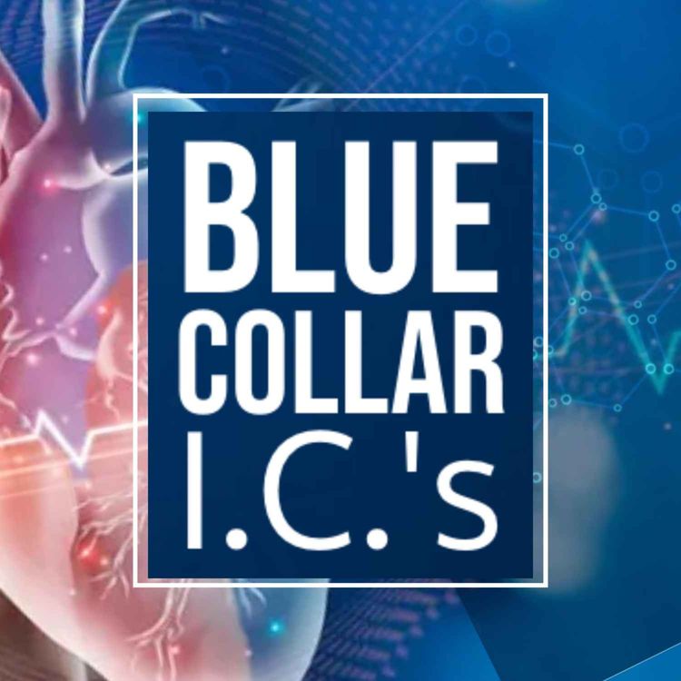 cover art for Meet the Docs!