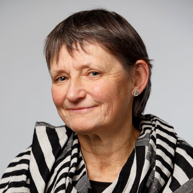 cover art for Insight Is an Epiphany, Not a Framework: Jane Fulton Suri