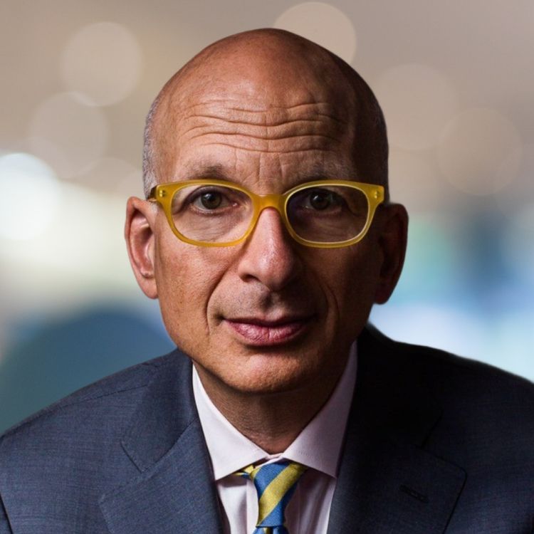 cover art for How to Tell a Problem From a Situation: Seth Godin