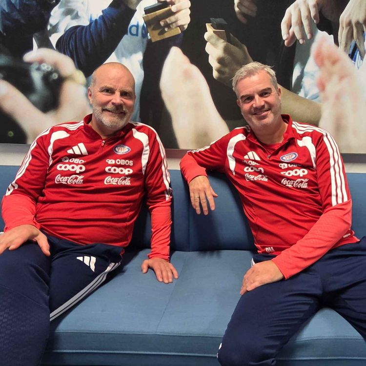 cover art for VIF-trenerne om Odin, Elias og alt det andre dere lurer på