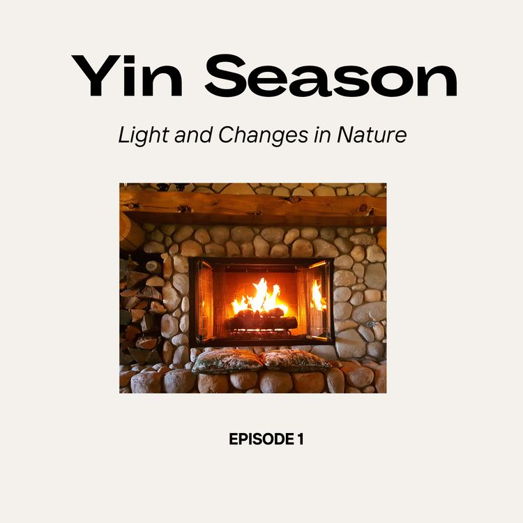 cover art for Light and Connecting with Nature