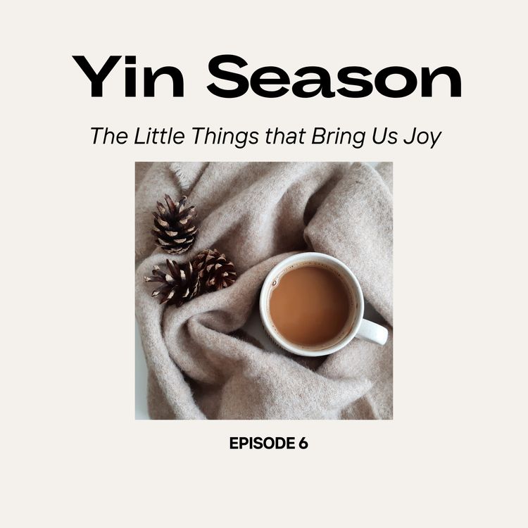 cover art for The Little Things that Bring Us Joy