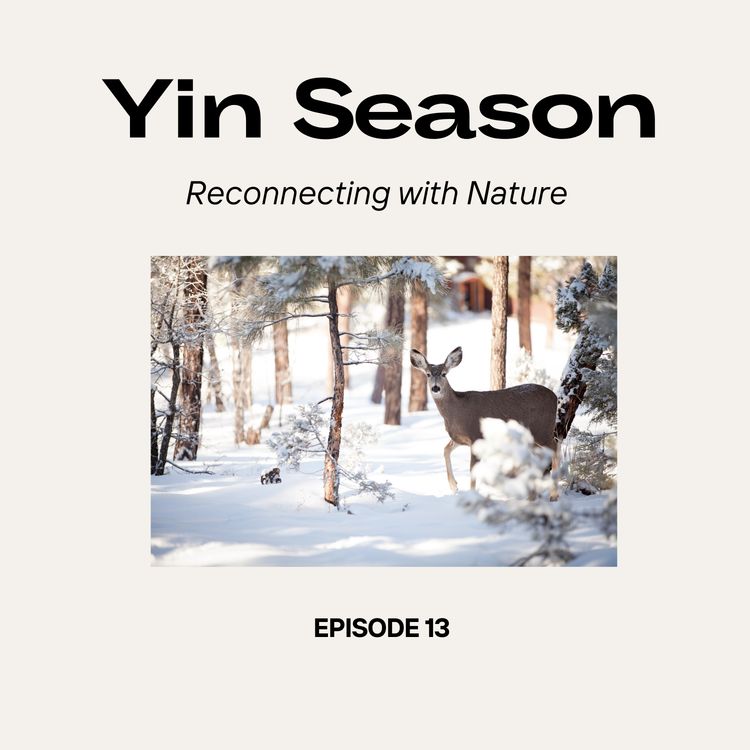 cover art for Reconnecting with Nature