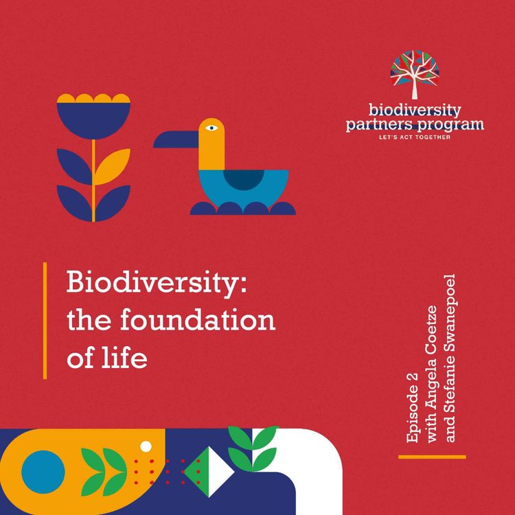 cover art for Biodiversity: The foundation of life