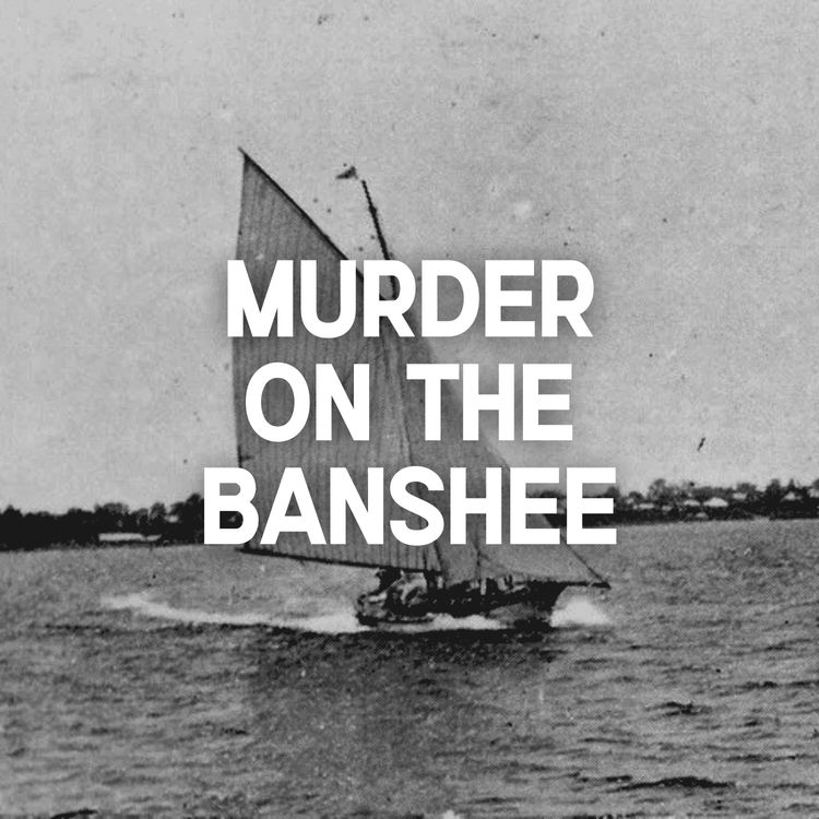 cover art for Murder on the Banshee