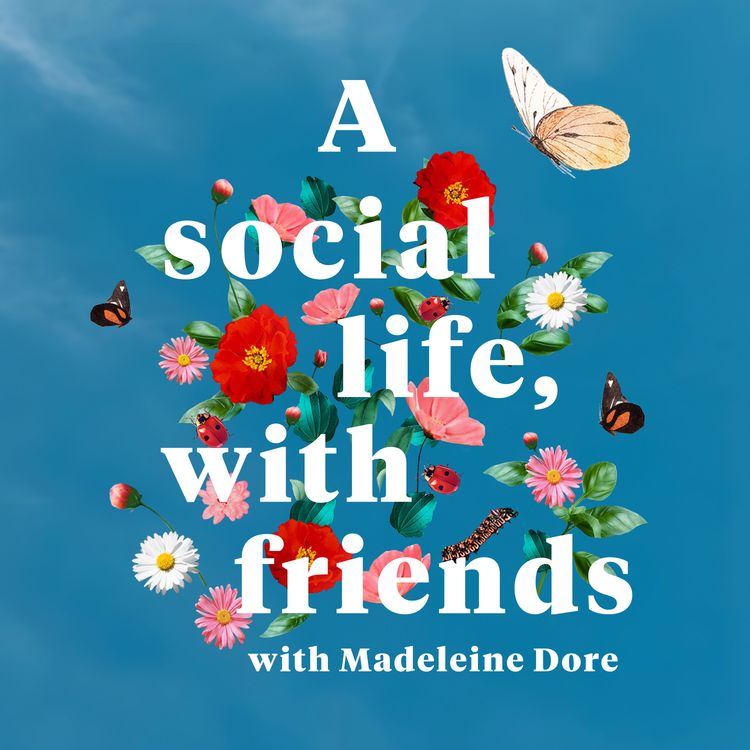 cover art for Introducing: A social life, with friends