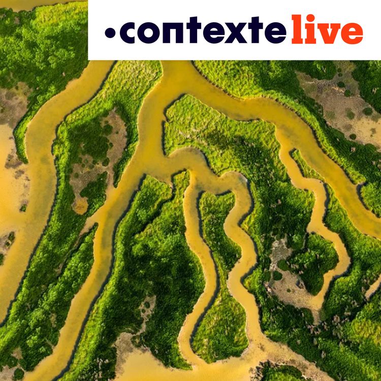 cover art for COP17 à Erevan : le cadre mondial de la biodiversité à l’épreuve des engagements