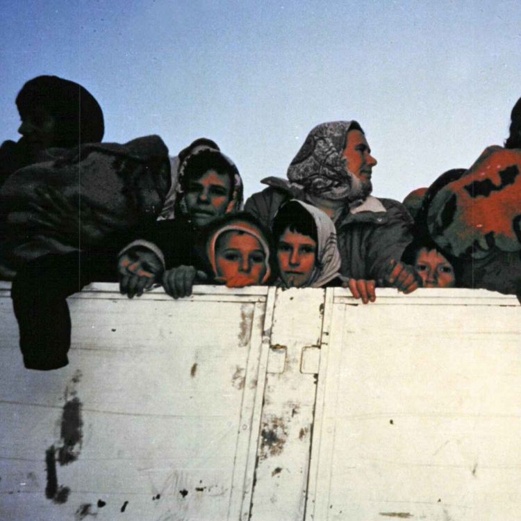 cover art for Srebrenica - Episode 4: Peace agreement vs justice