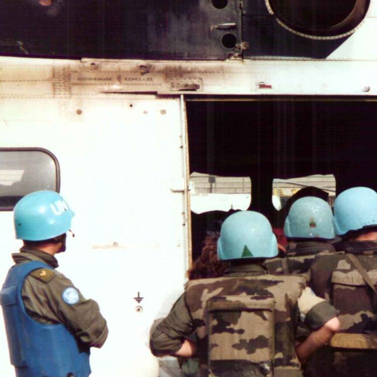 cover art for Srebrenica - Episode 5: Mechanisms and expectations