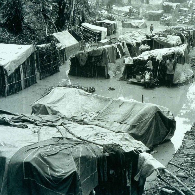 cover art for Hunting and killing Rwandan refugees in Zaire-Congo - Ep. 7: The ‘Forced Flight’ report