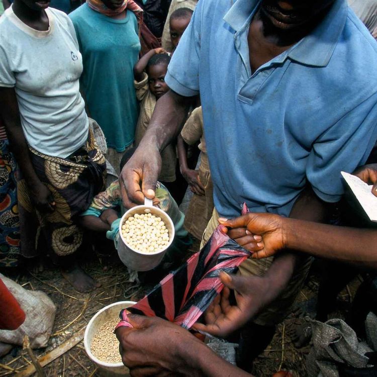 cover art for Hunting and killing Rwandan refugees in Zaire-Congo - Ep. 8: Learning from retrospective reports