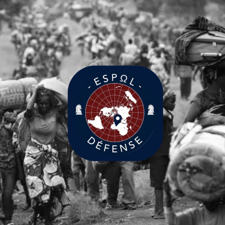 cover art for Episode 6 : La République démocratique du Congo