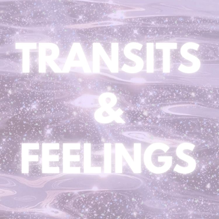 cover art for TRANSITS & FEELINGS 1.20