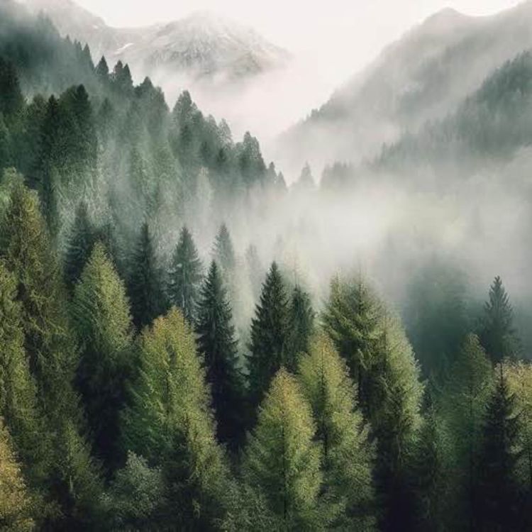 cover art for مرور زندگی | بیکلام آرامش بخش