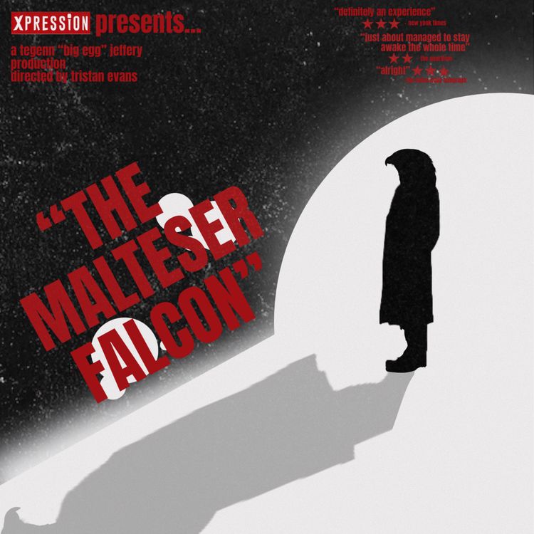 cover art for The Malteser Falcon