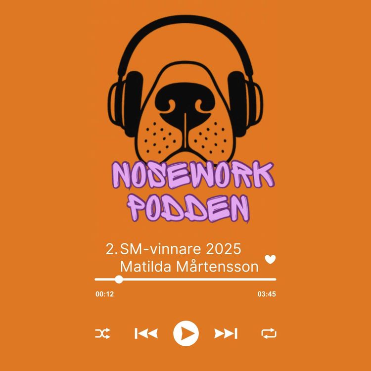 cover art for 2. Sm-vinnare 2025 