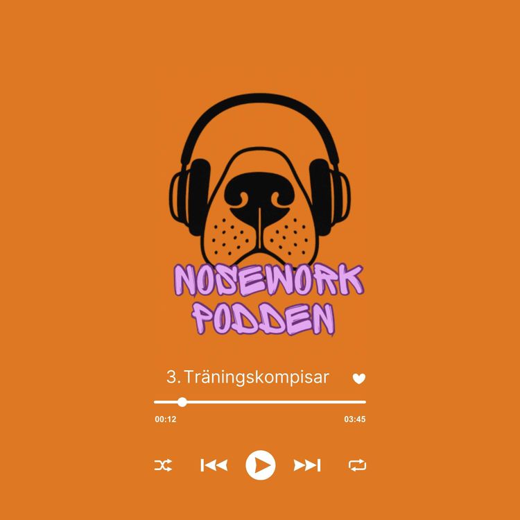 cover art for 3. Träningskompisar