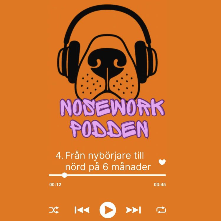 cover art for 4. Från nybörjare till nörd på 6 månader