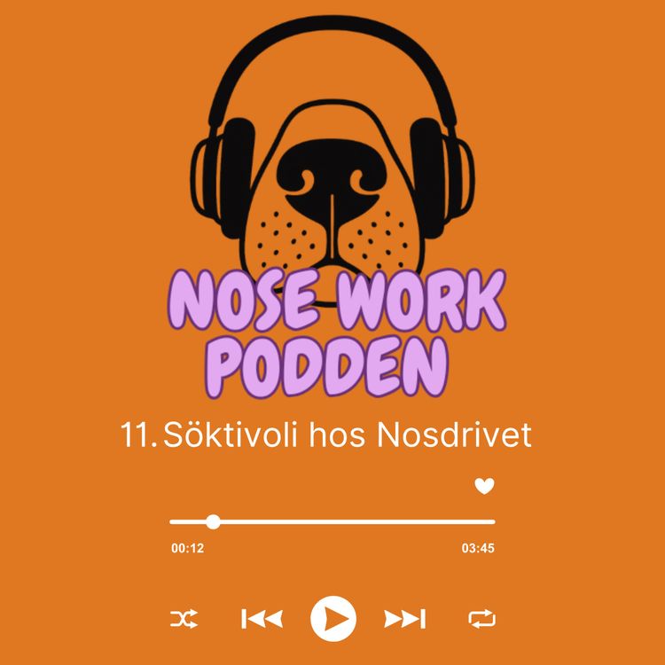 cover art for 11. Söktivoli hos Nosdrivet
