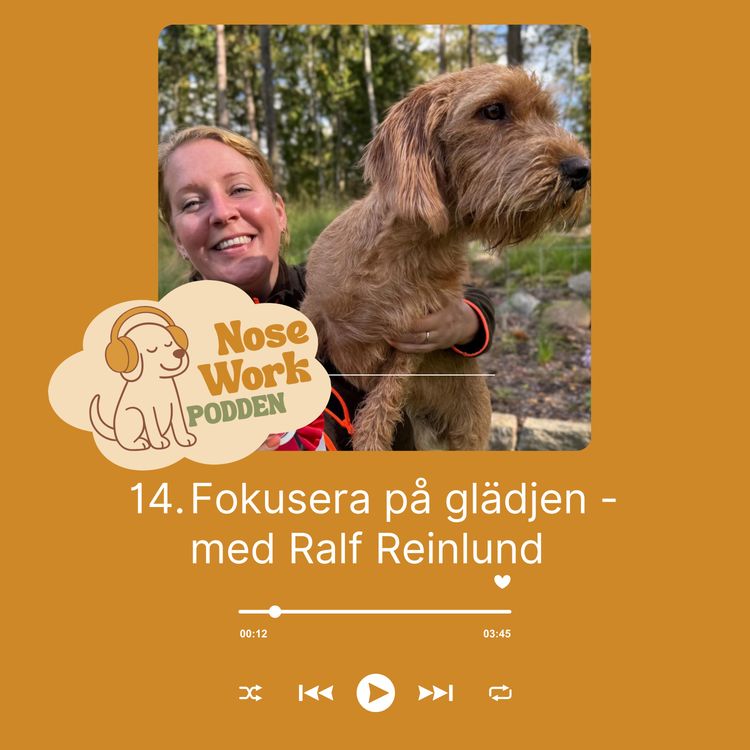 cover art for 14. Fokusera på glädjen - Ralf Reinlund