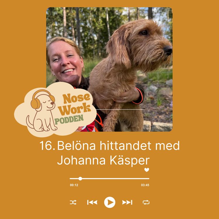 cover art for 16. Belöna hittandet med Johanna Käsper