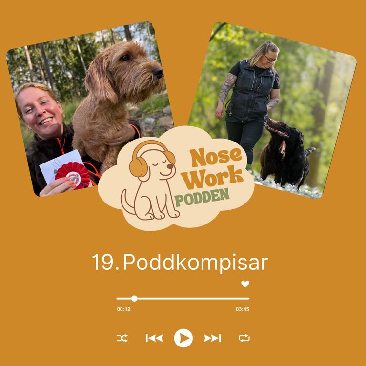 cover art for 19. Poddkompisar