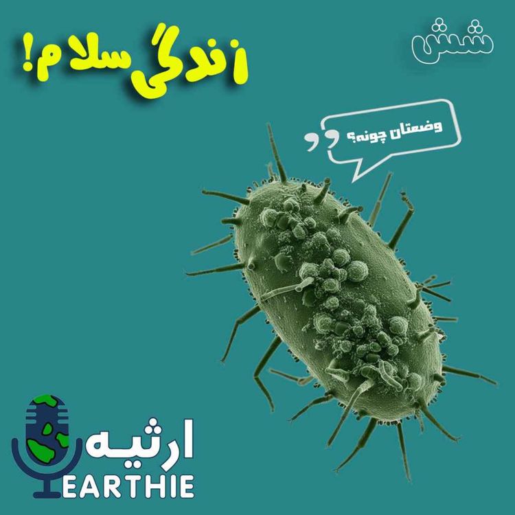cover art for شش: ای زندگی سلام