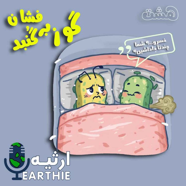 cover art for هشت: گوز بر گنبد فشان