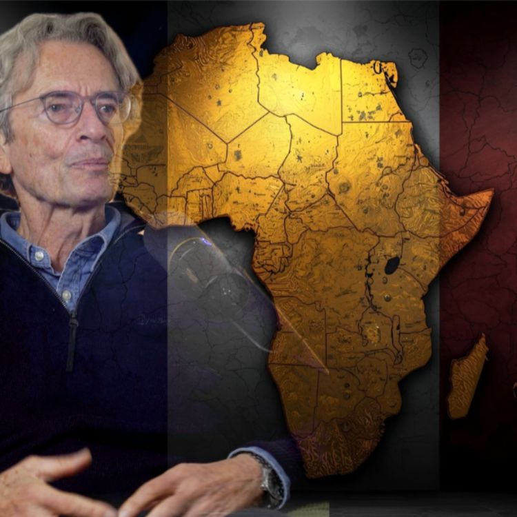 cover art for FIN DE LA FRANCE EN AFRIQUE. QUI LA REMPLACE ?