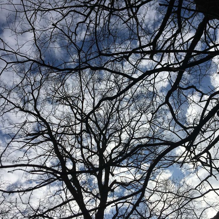 cover art for Mum's the Word