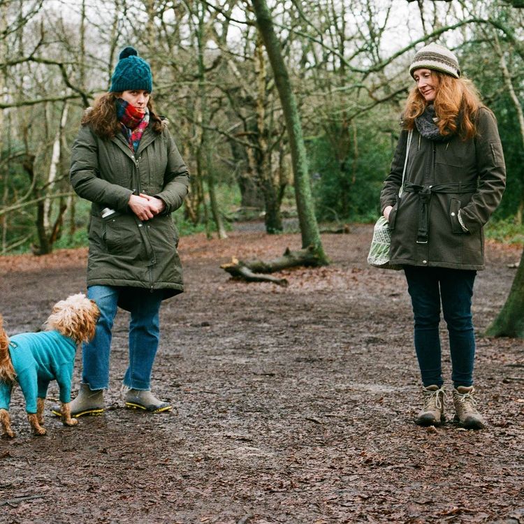 cover art for The Pardon