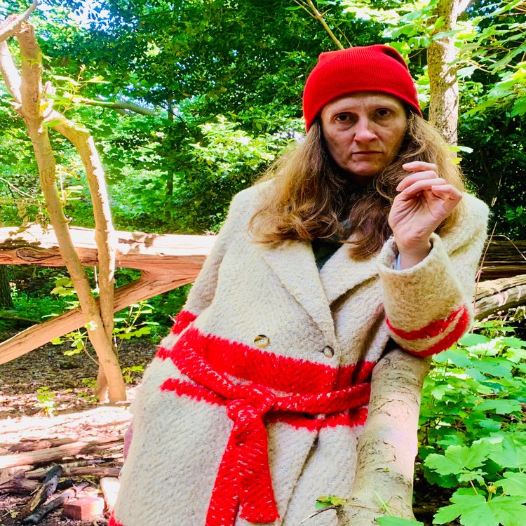 cover art for Janie Red