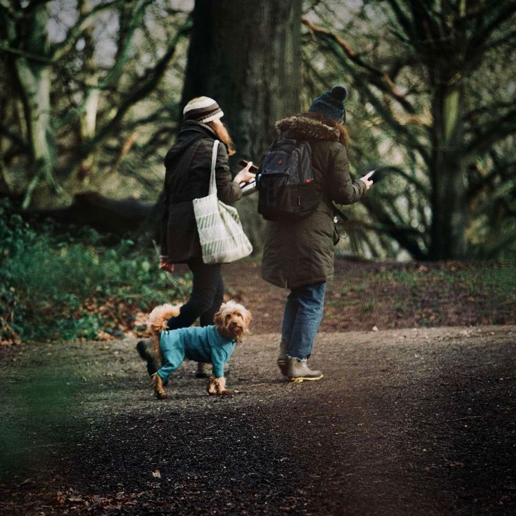 cover art for Psycho Dog Trainer