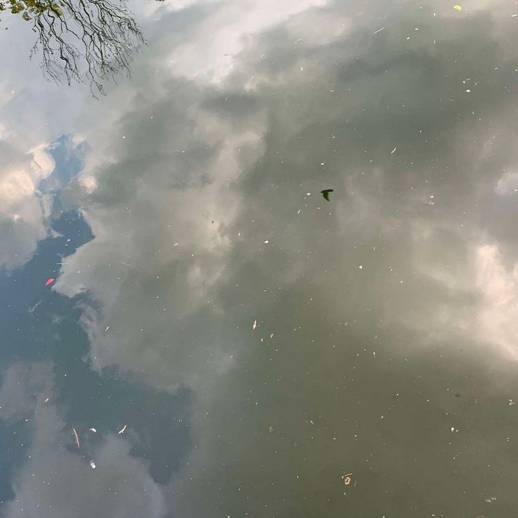 cover art for Psycho Human