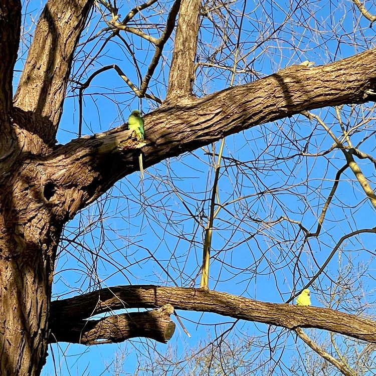 cover art for Clay Friends
