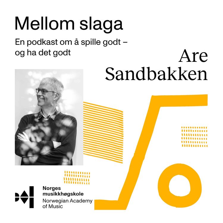 cover art for #20 – Gjest: Are Sandbakken