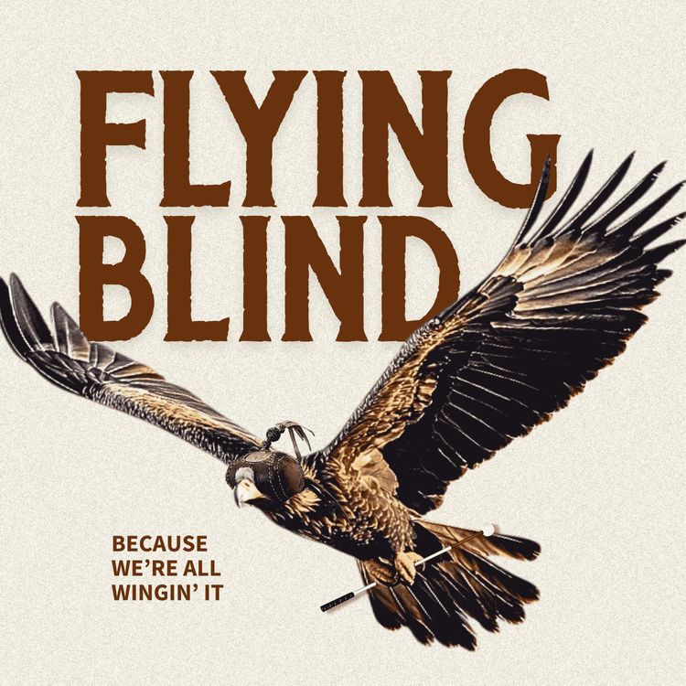 cover art for We're All Winging It!