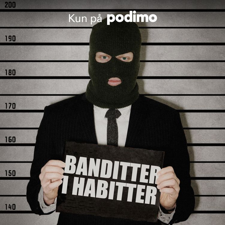 cover art for Banditter i habitter: Stein Bagger