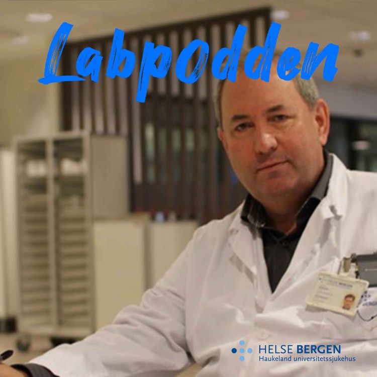 cover art for Brystkreft: mange sjukdommar - mange moglegheiter