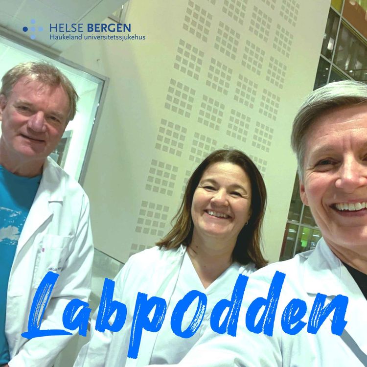 cover art for Virus på vandring: om influensa og luftvegsinfeksjon