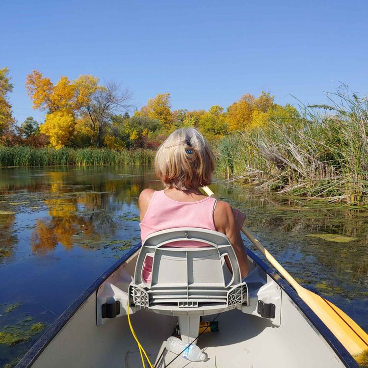cover art for Winnipeg Trails and Parks