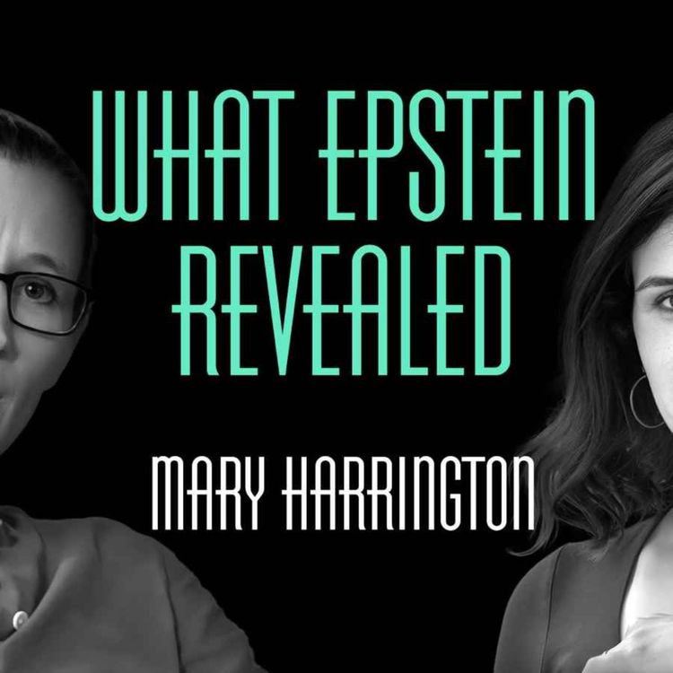 cover art for What Epstein revealed