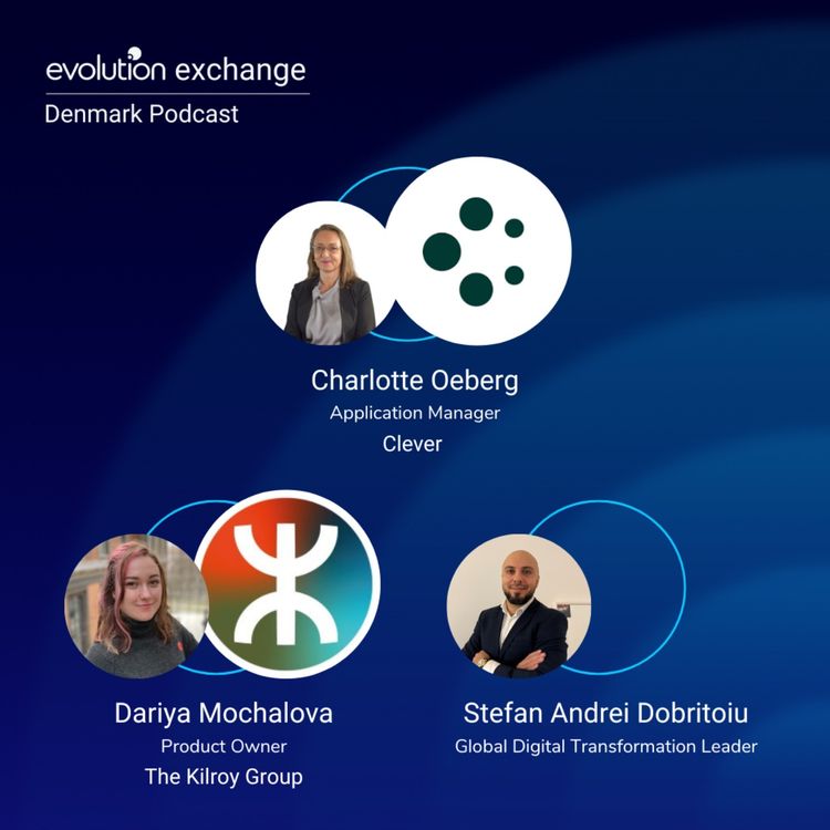 cover art for Evo DK #422 - CRM, Culture & Change