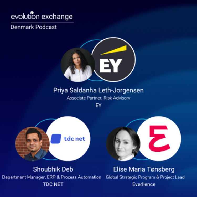 cover art for Evo DK #378 - Building High Performing Teams