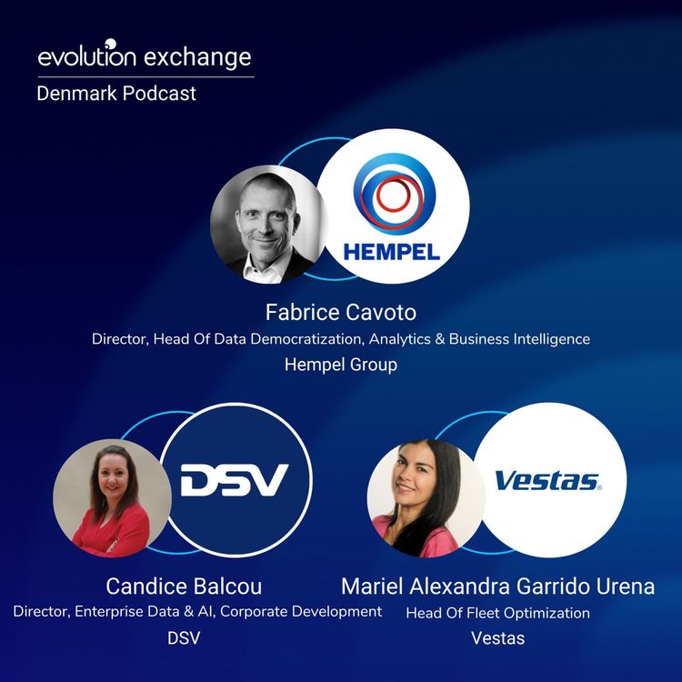 cover art for Evo DK #376 - What Does Data Democratisation Need To Look Like To Be A Success