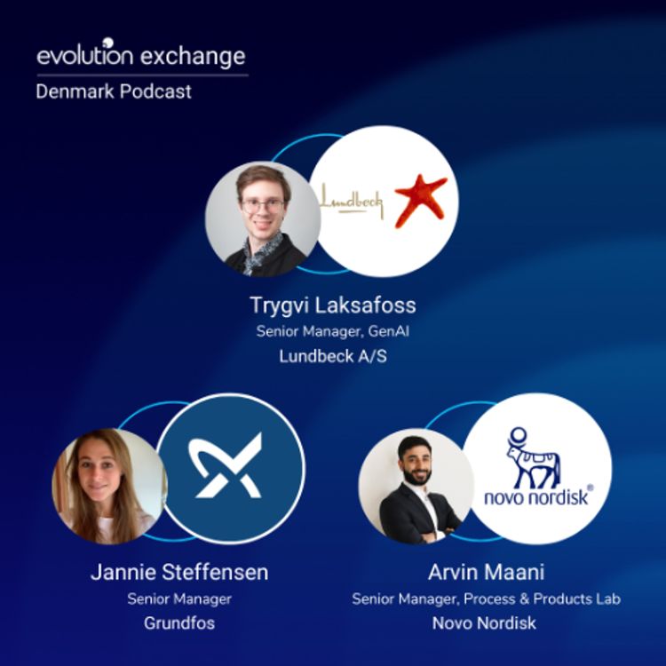 cover art for Evo DK #377 - How Do We Ensure That Our Digital Solutions Solve Business Challenges