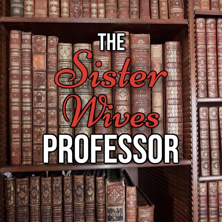 cover art for Sister Wives 1.1 - Meet Kody & The Wives