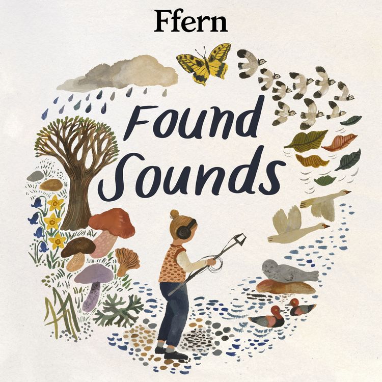 cover art for Found sound For August: Jackie Morris